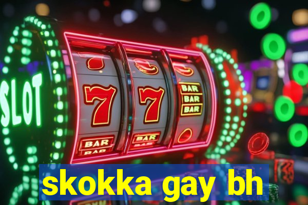 skokka gay bh